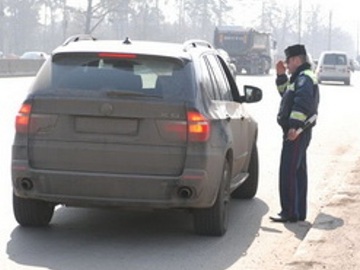 Purvinas valstybinis numeris