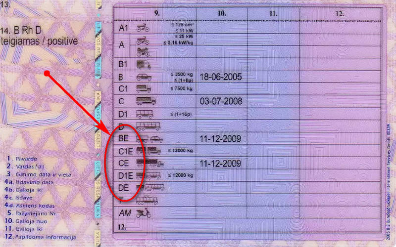 Ką reiškia raidės vairuotojo pažymėjime?