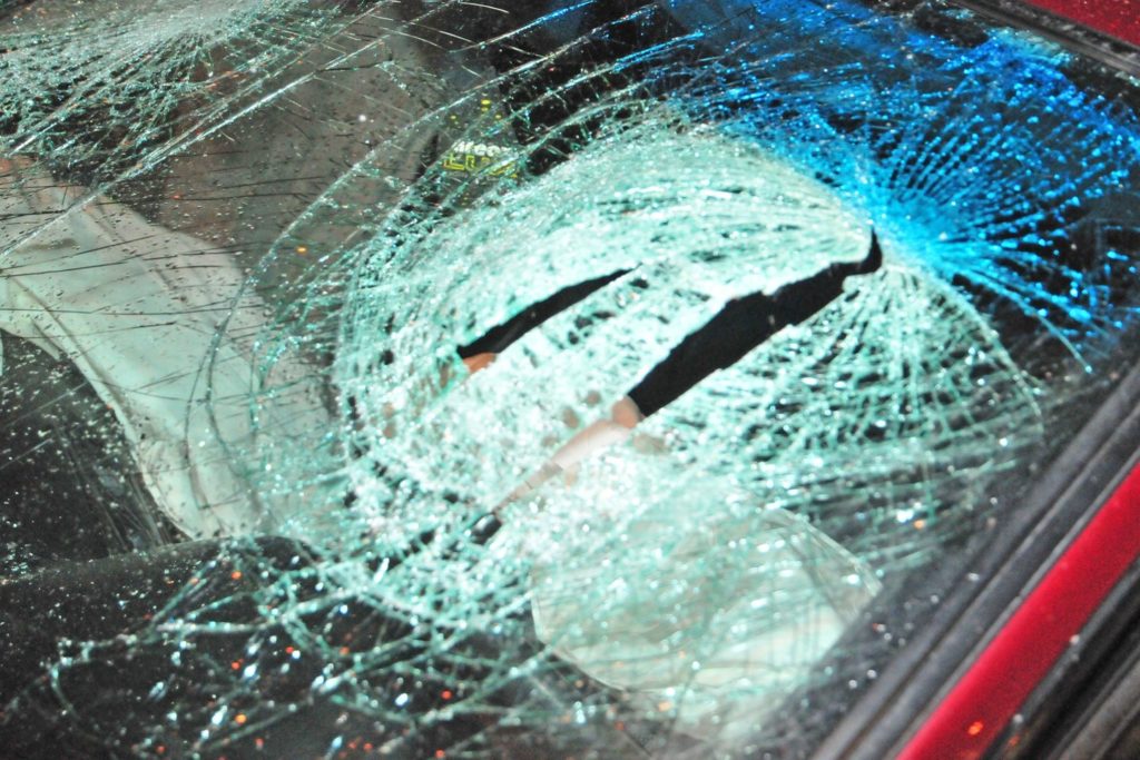 Kaip privalo elgtis vairuotojas, transporto priemone susidūręs su gyvūnu ir gyvūnas buvo sužeistas arba nugaišo?